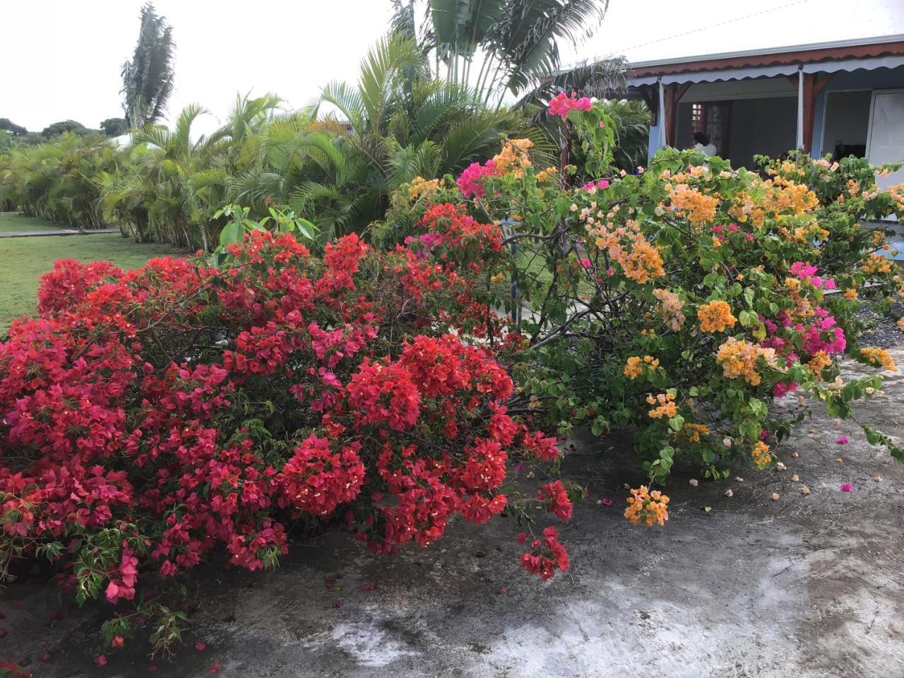 Village De L'anse-a-l'eau Ferienhaus Saint-Francois (Grande-Terre)